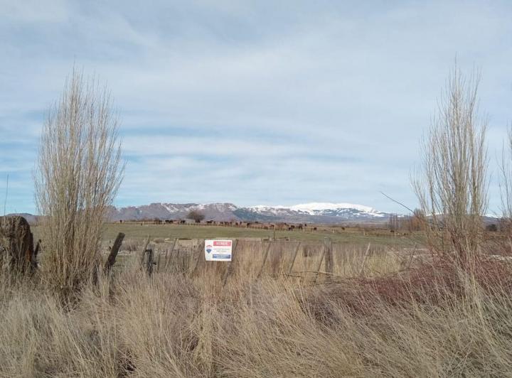 Terreno · 8300m²