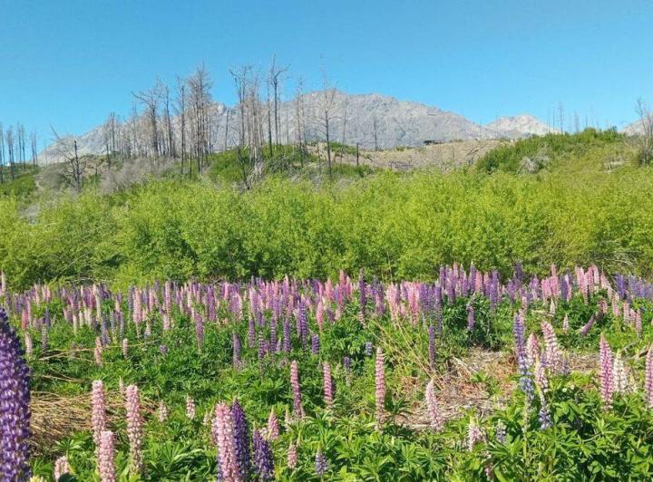 Terreno · 3000m²