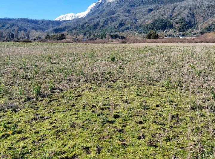 Campo · 350000000ha