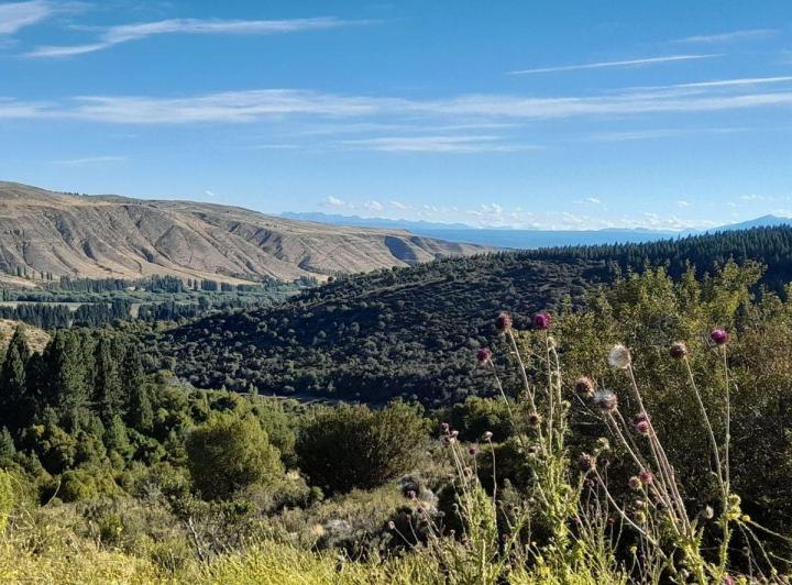 Terreno · 787m²