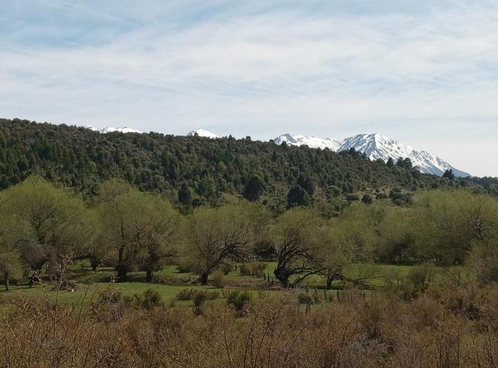 Terreno · 6250m²