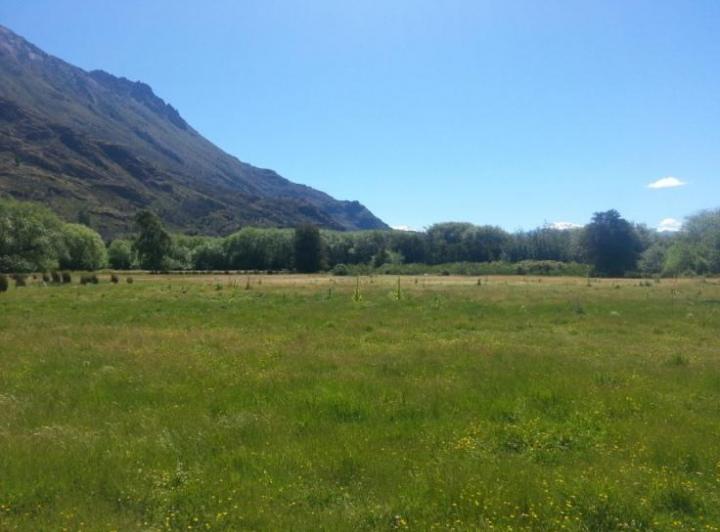 Terreno · 2500m²