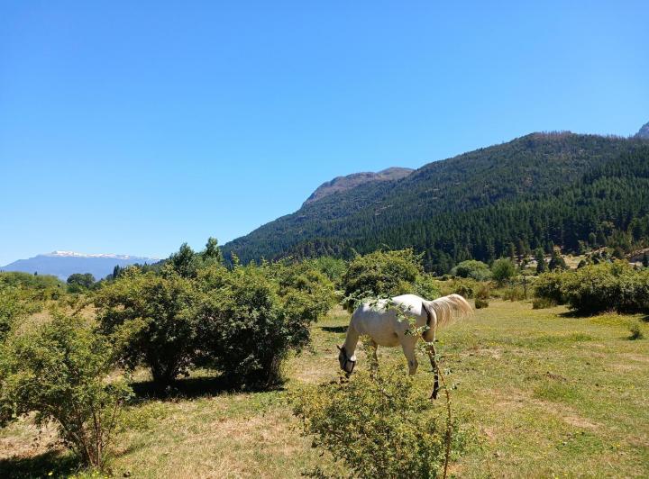 Campo · 40000m² · 2 Dormitorios