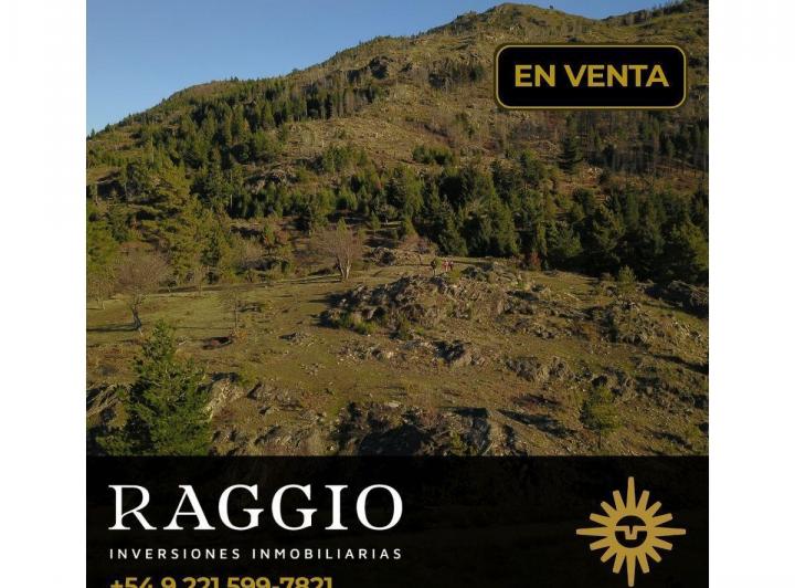 Terreno · 60000m²