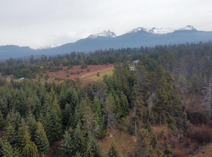 Terreno · 10000m²
