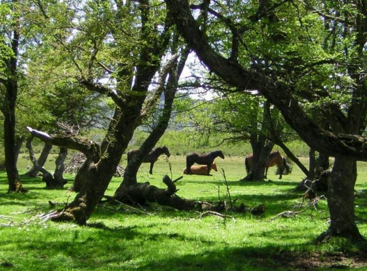 Terreno · 28000m²