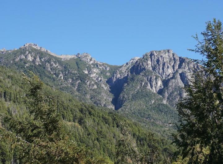 Campo · 50000m²