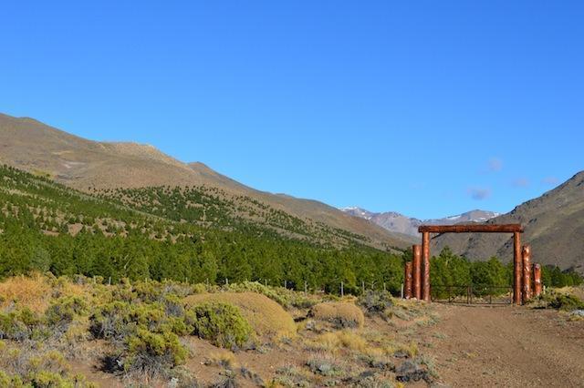 Campo · 33000000ha