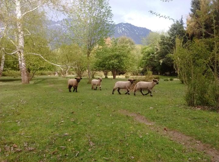 Campo · 13725m²