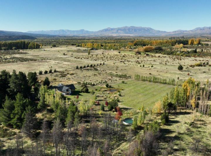 Campo · 8ha