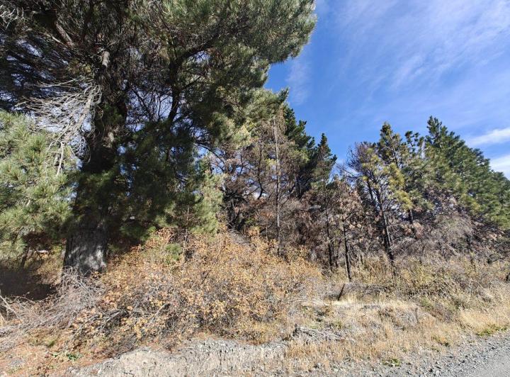 Terreno · 5000m²