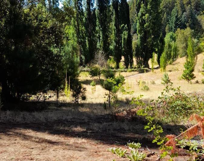 Campo · 36900m² · 3 Ambientes