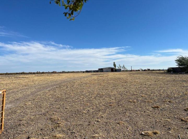 Campo · 22500ha