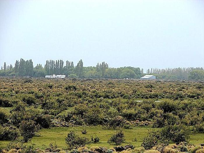 Campo · 75840000ha