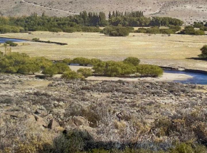 Campo · 50000m²