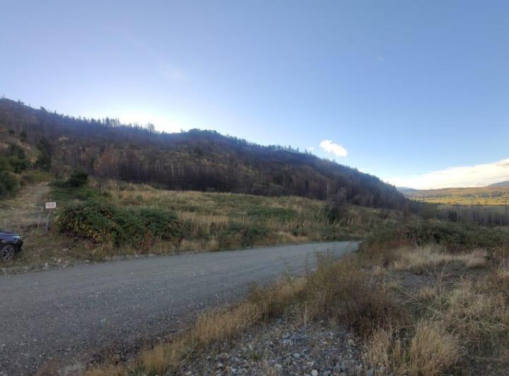 Campo · 20000m²