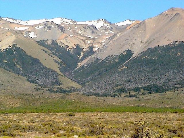 Campo · 25000000ha