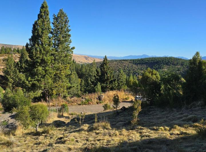 Terreno · 1433m²