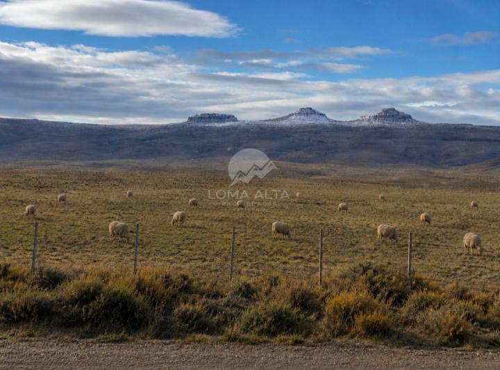 Campo · 1ha · 2 Ambientes