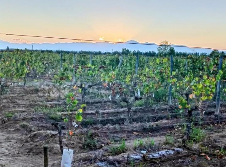 Quinta vacacional · 50000m²