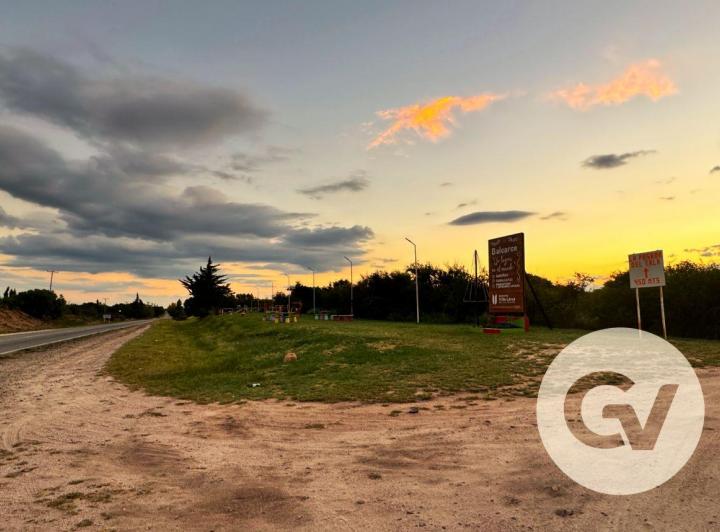 Campo · 65077ha