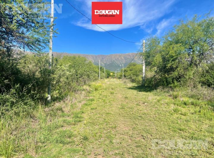 Terreno · 1542m²