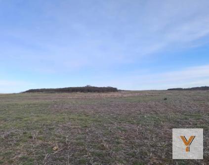 Campo · 9400000m² · 3 Ambientes