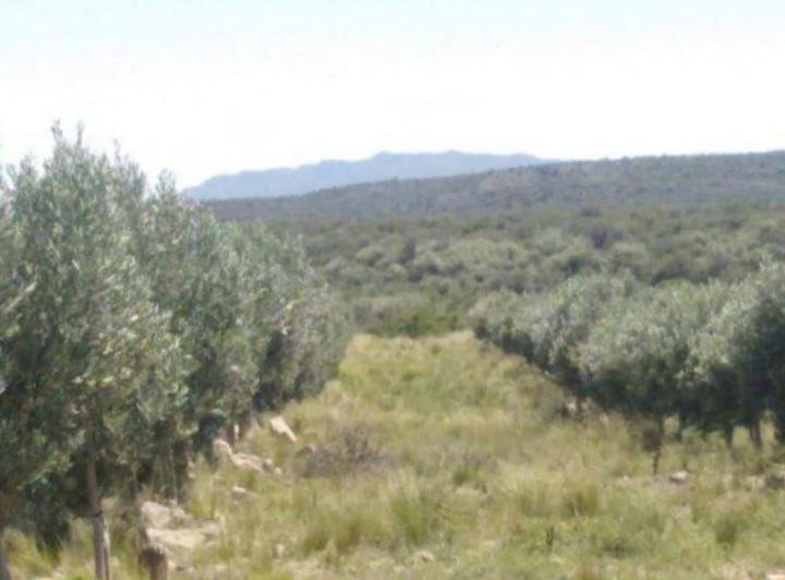 Campo · 372m²