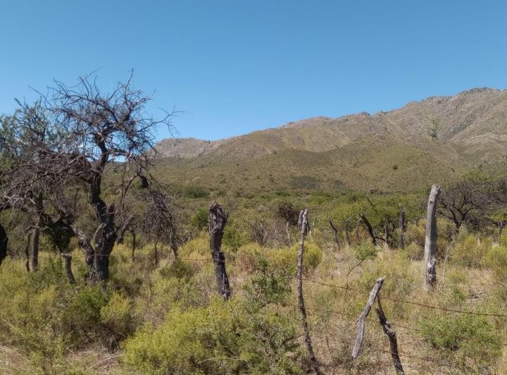 Terreno · 10m²