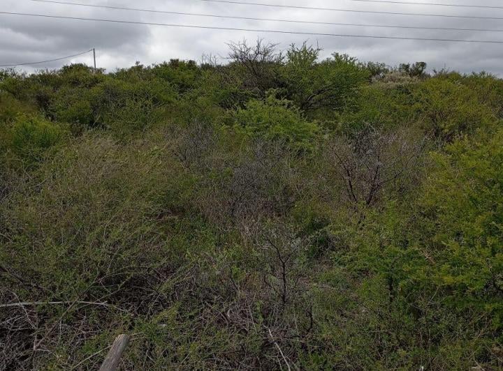Terreno · 347550m²