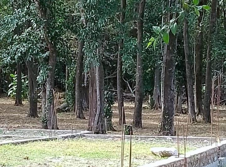 Terreno · 1500m²