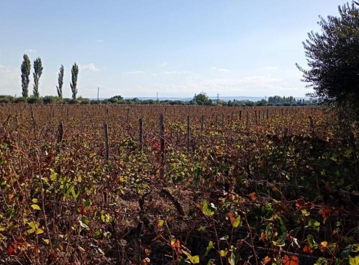 Quinta vacacional · 60000m²