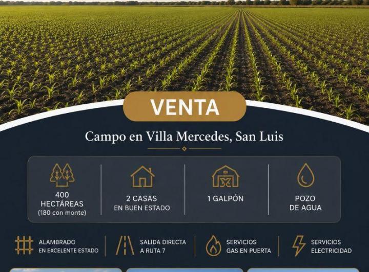 Campo · 400ha