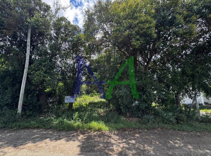 Terreno · 688m²