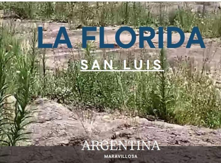 Campo · 86000m²