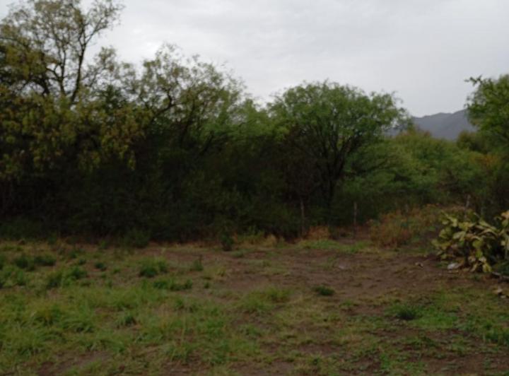 Terreno · 800m²