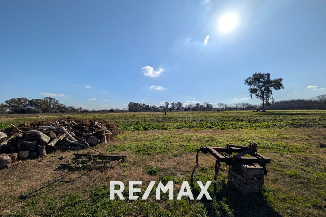 Alquiler Lote Agricola 47000m Pavon  Ex.de la Cruz