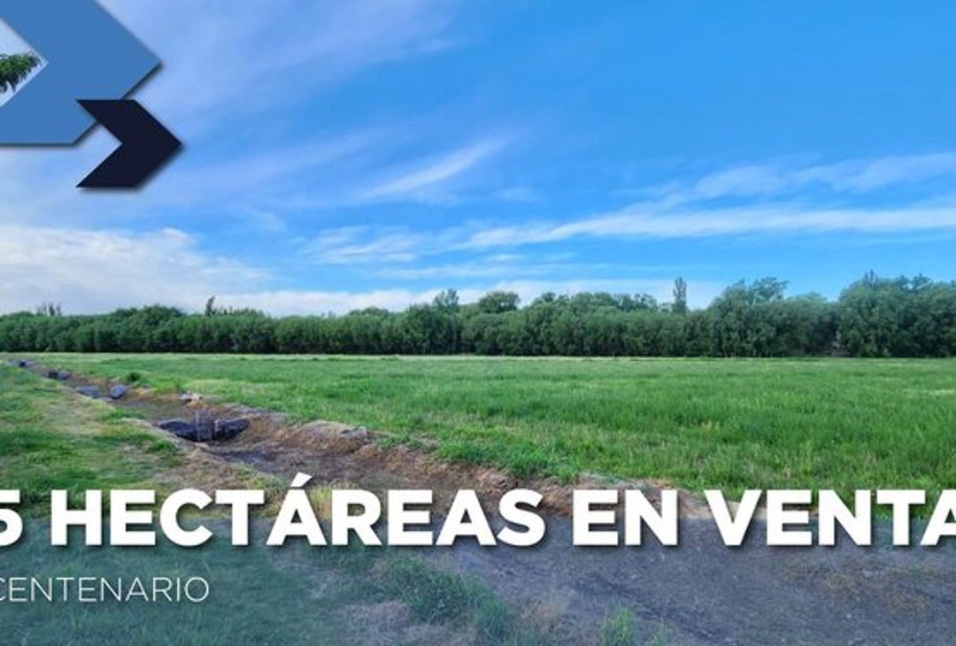 CHACRA EN VENTA DE 5 HA, SERVICIOS.