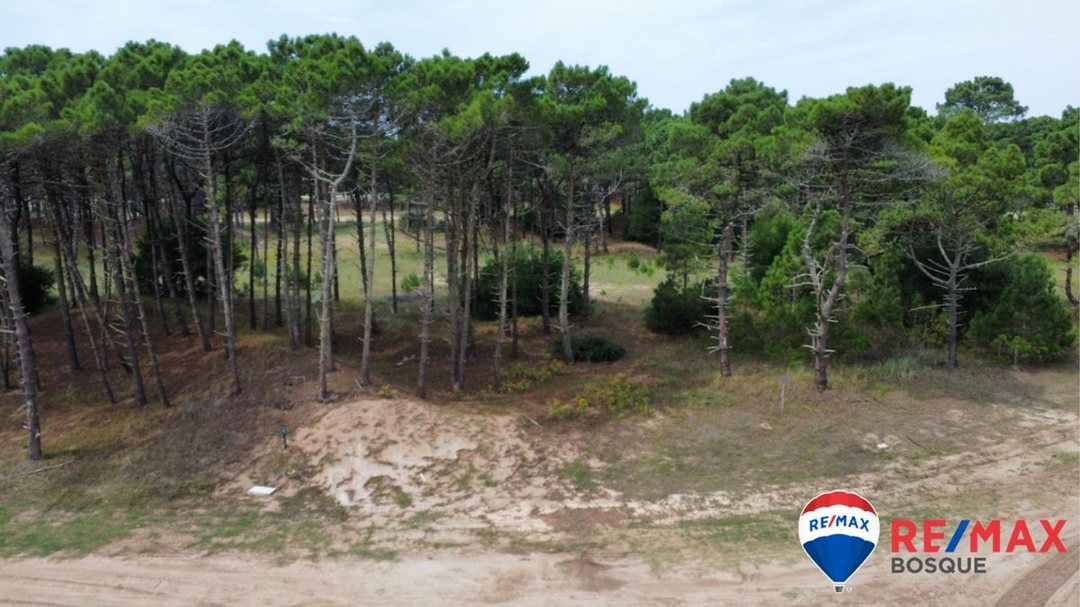 Venta Lote, Bosques Pinamar