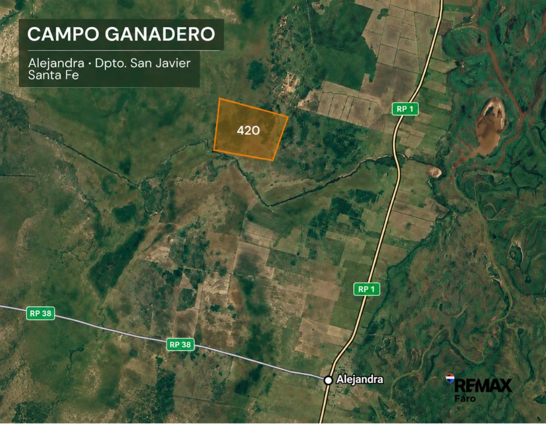 CAMPO GANADERO - ALEJANDRA, DPTO. SAN JAVIER