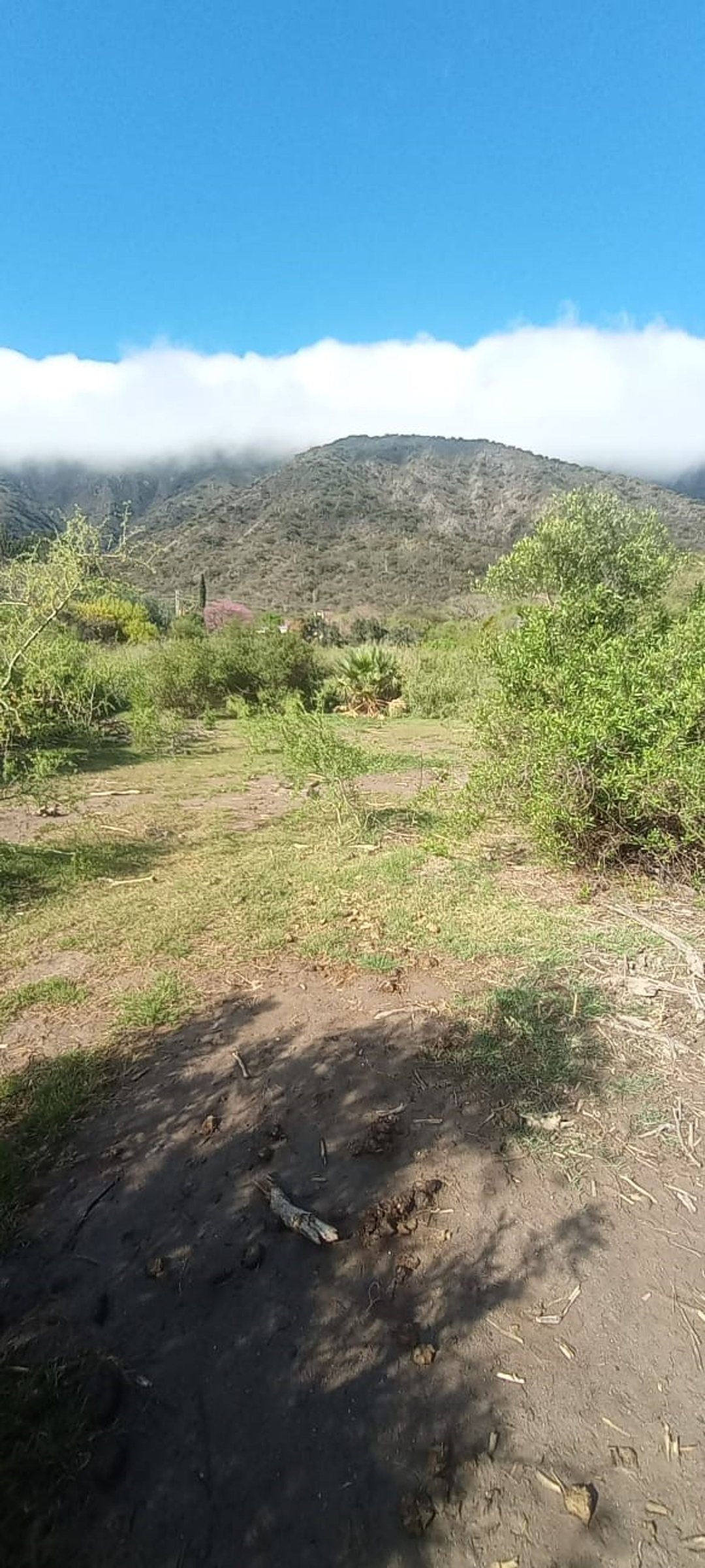 TERRENO EN VENTA ZONA RUTA 1 LISTO PARA ESCRITURAR