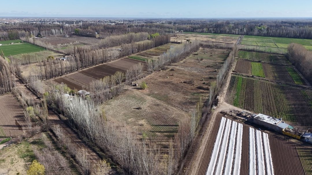 CHACRA DE 5.6HAS EN CENTENARIO – LOTE AGRICOLA