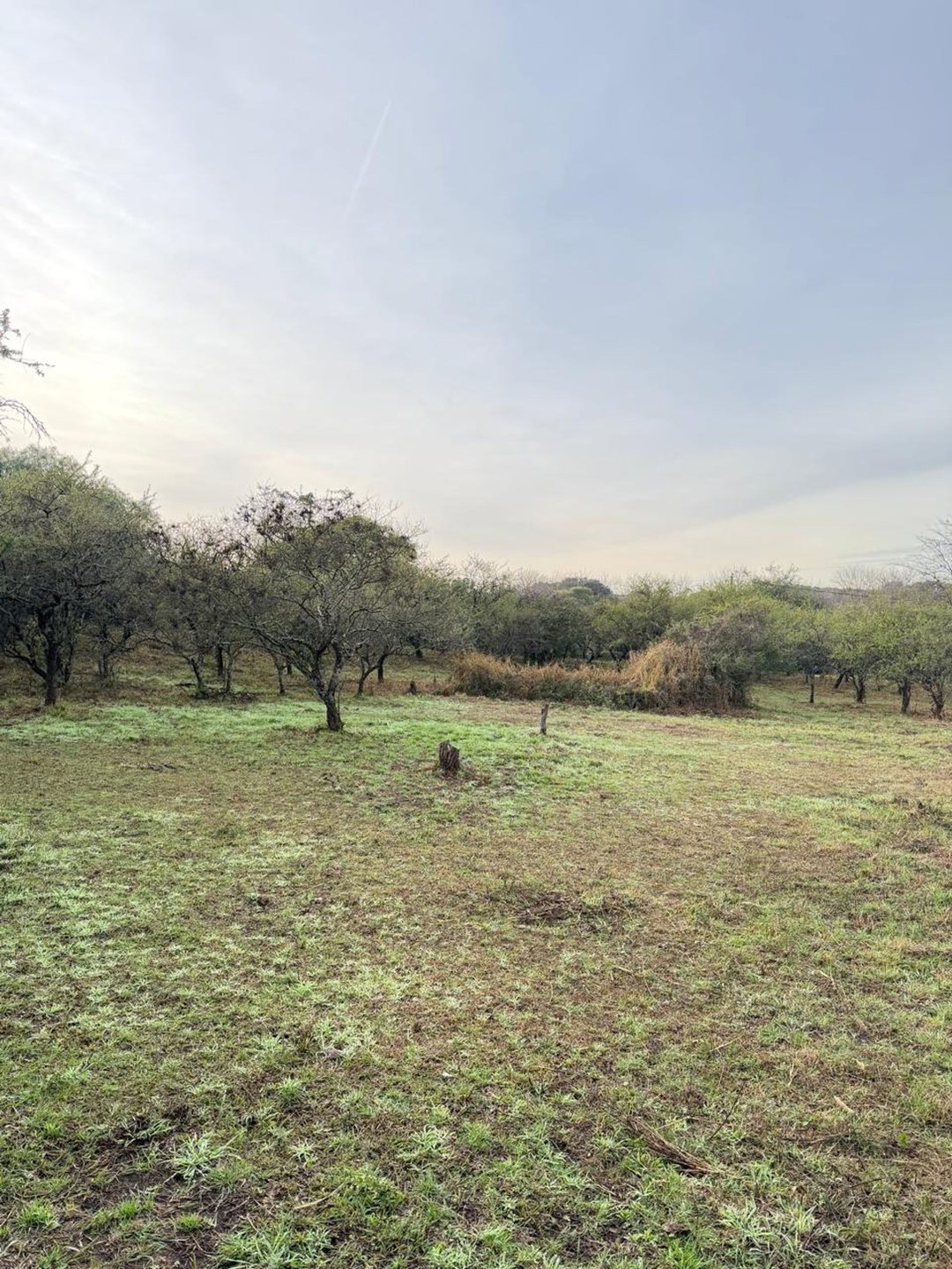 LOTE EN VENTA MENDIOLAZA GOLF CORDOBA