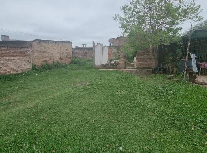 Terreno