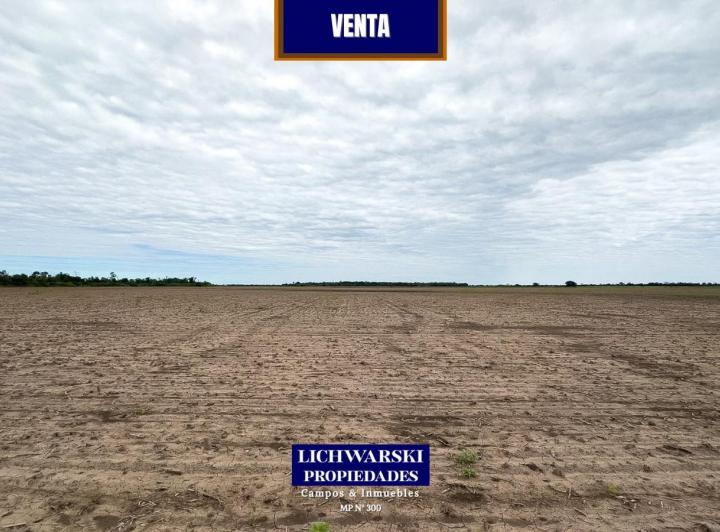 Campo · 50ha