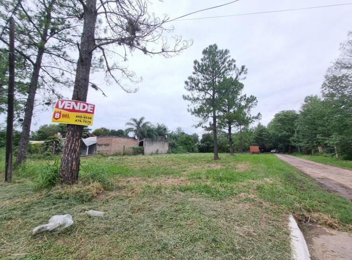 Terreno · 1000m²