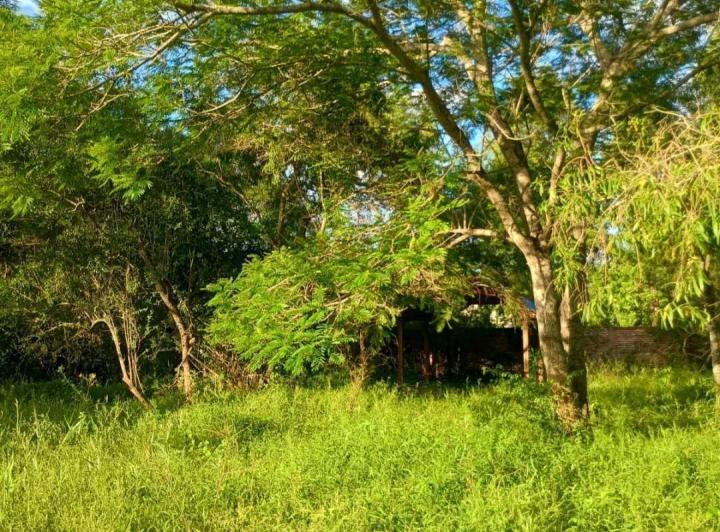 Terreno · 18m²