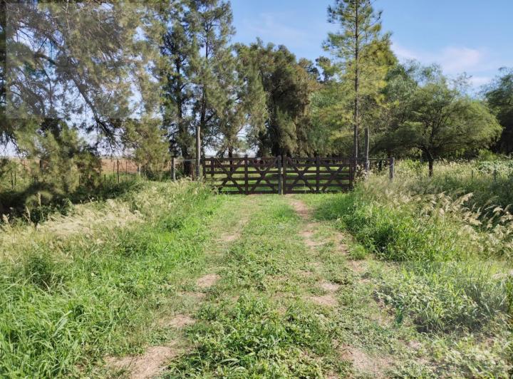 Quinta vacacional · 250m² · 6 Ambientes · 2 Cocheras