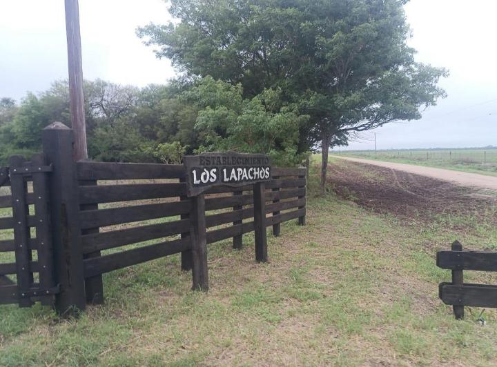 Campo · 165m² · 1 Ambiente
