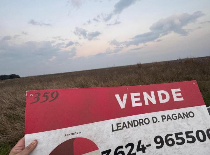 Campo · 70ha